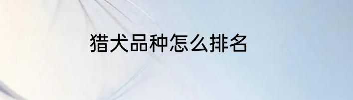 猎犬品种怎么排名