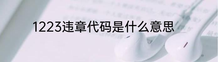 1223违章代码是什么意思