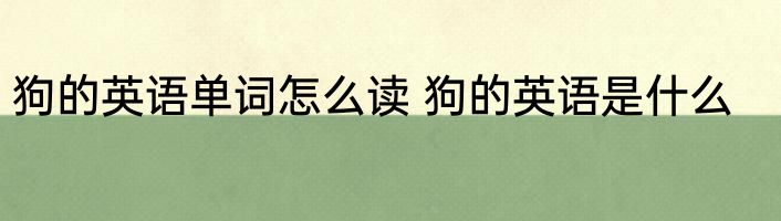 狗的英语单词怎么读 狗的英语是什么