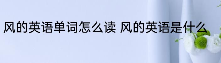 风的英语单词怎么读 风的英语是什么
