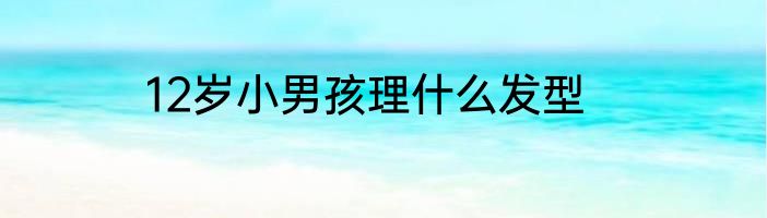 12岁小男孩理什么发型