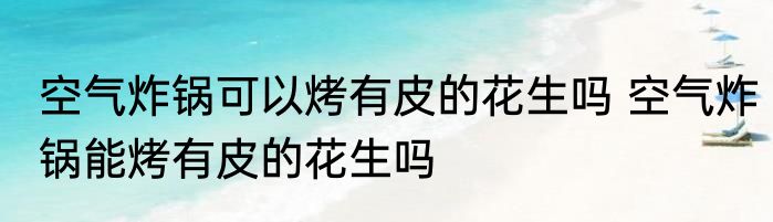 空气炸锅可以烤有皮的花生吗 空气炸锅能烤有皮的花生吗