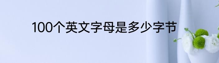 100个英文字母是多少字节