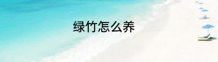 绿竹怎么养