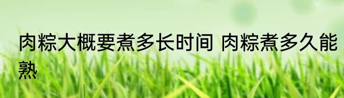 肉粽大概要煮多长时间 肉粽煮多久能熟