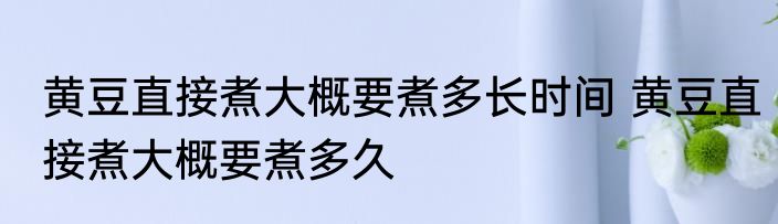 黄豆直接煮大概要煮多长时间 黄豆直接煮大概要煮多久