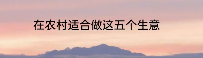 在农村适合做这五个生意