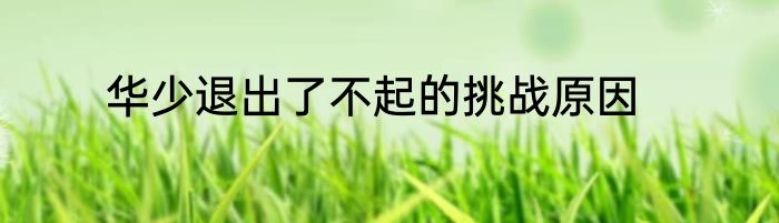 华少退出了不起的挑战原因