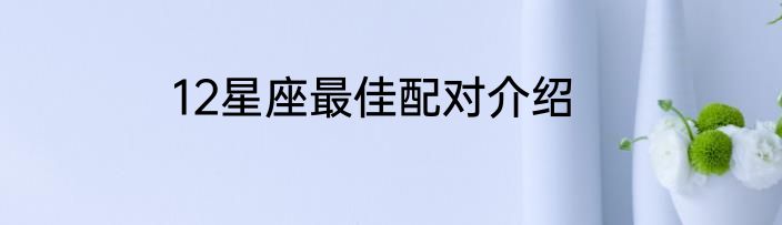 12星座最佳配对介绍