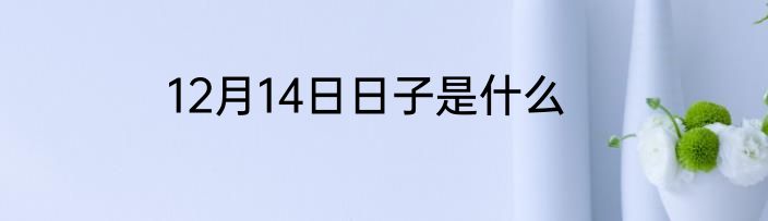 12月14日日子是什么