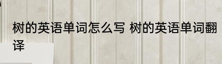树的英语单词怎么写 树的英语单词翻译