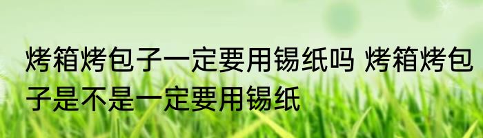 烤箱烤包子一定要用锡纸吗 烤箱烤包子是不是一定要用锡纸