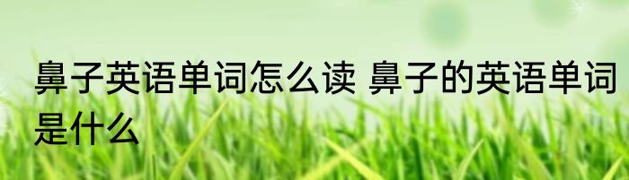 鼻子英语单词怎么读 鼻子的英语单词是什么