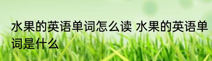 水果的英语单词怎么读 水果的英语单词是什么