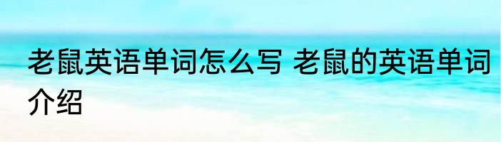 老鼠英语单词怎么写 老鼠的英语单词介绍