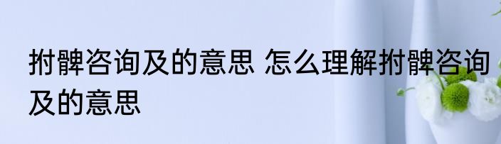 拊髀咨询及的意思 怎么理解拊髀咨询及的意思