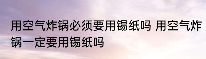 用空气炸锅必须要用锡纸吗 用空气炸锅一定要用锡纸吗