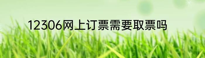 12306网上订票需要取票吗