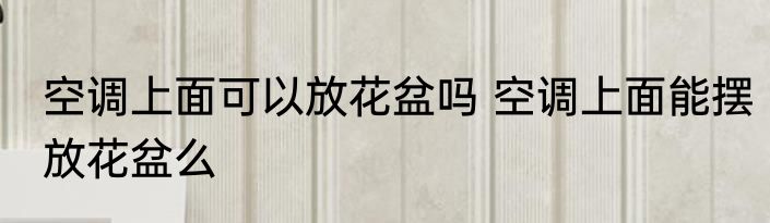 空调上面可以放花盆吗 空调上面能摆放花盆么
