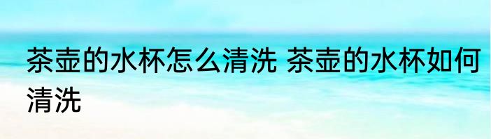 茶壶的水杯怎么清洗 茶壶的水杯如何清洗