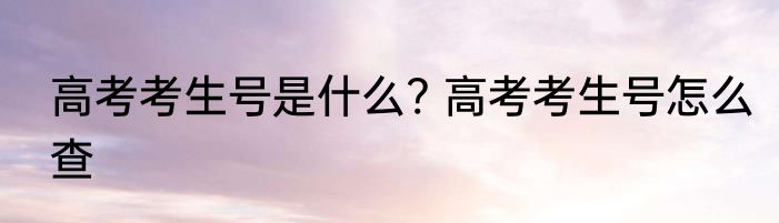 高考考生号是什么? 高考考生号怎么查