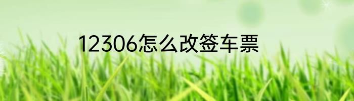 12306怎么改签车票