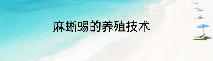 麻蜥蜴的养殖技术