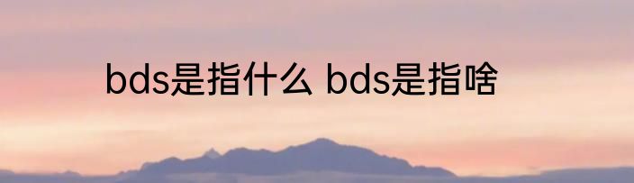 bds是指什么 bds是指啥
