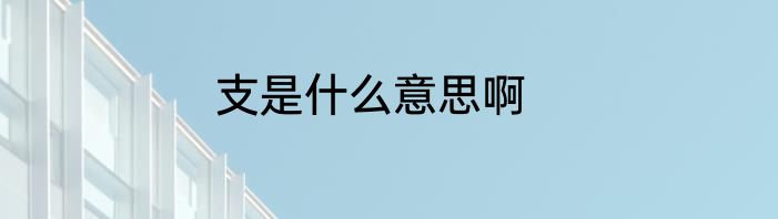 支是什么意思啊