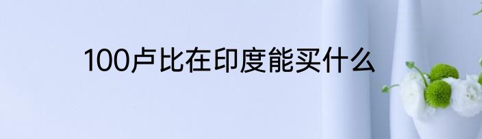 100卢比在印度能买什么