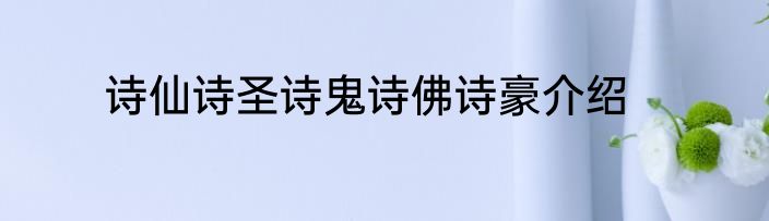 诗仙诗圣诗鬼诗佛诗豪介绍