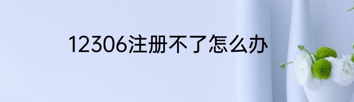 12306注册不了怎么办