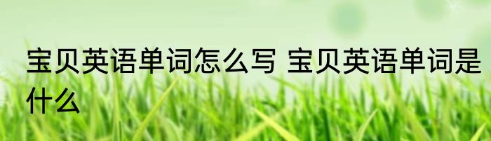宝贝英语单词怎么写 宝贝英语单词是什么