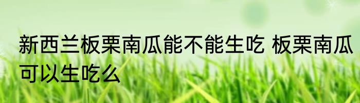 新西兰板栗南瓜能不能生吃 板栗南瓜可以生吃么