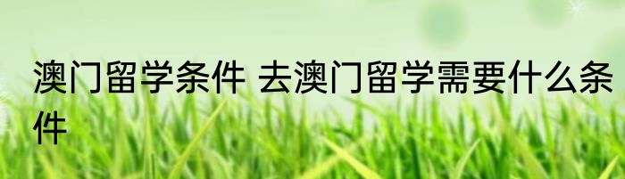 澳门留学条件 去澳门留学需要什么条件