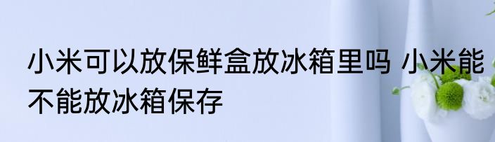 小米可以放保鲜盒放冰箱里吗 小米能不能放冰箱保存