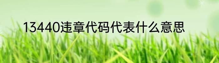 13440违章代码代表什么意思