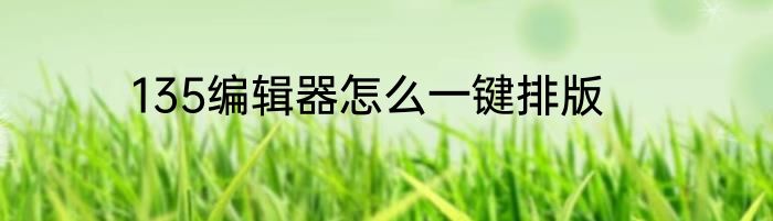 135编辑器怎么一键排版