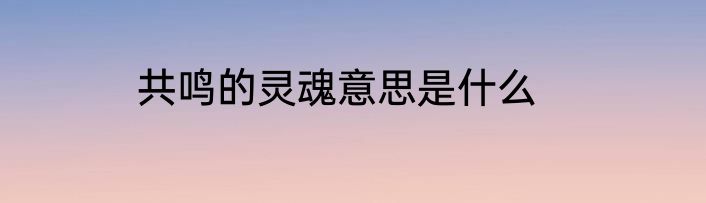 共鸣的灵魂意思是什么