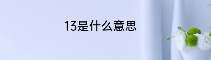 13是什么意思
