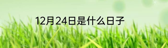 12月24日是什么日子