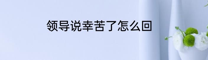 领导说幸苦了怎么回