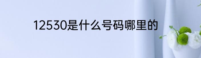 12530是什么号码哪里的