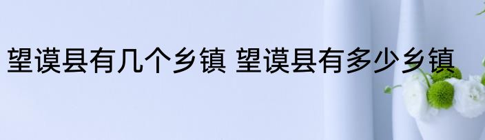望谟县有几个乡镇 望谟县有多少乡镇