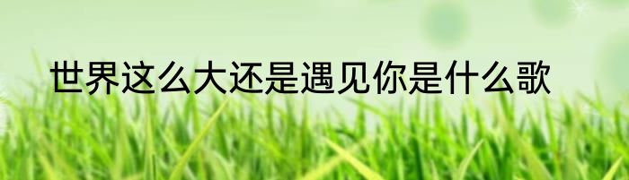 世界这么大还是遇见你是什么歌
