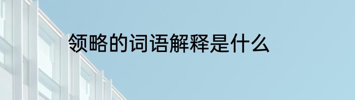 领略的词语解释是什么