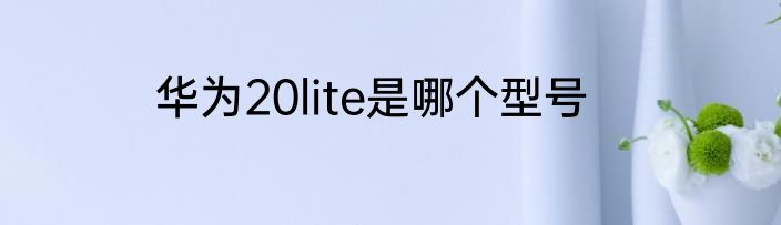 华为20lite是哪个型号