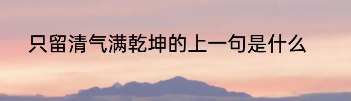 只留清气满乾坤的上一句是什么