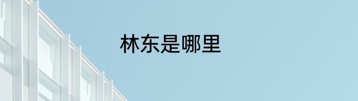 林东是哪里