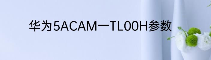 华为5ACAM一TL00H参数